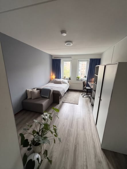 Image accompanying room listing