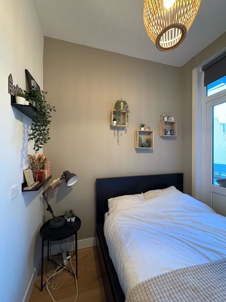 Image accompanying room listing