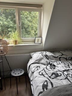 Image accompanying room listing