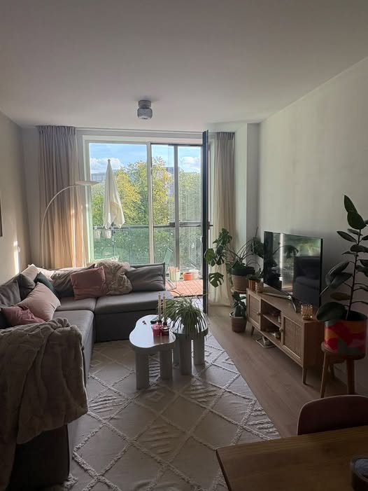 Image accompanying room listing