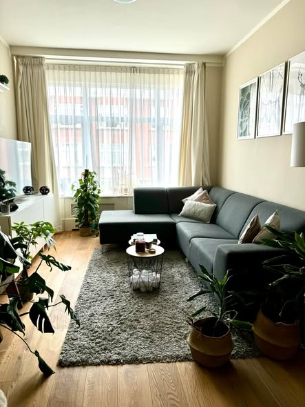 Image accompanying room listing