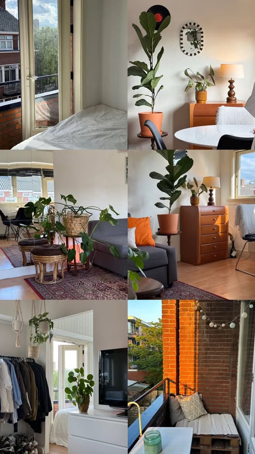 Image accompanying room listing