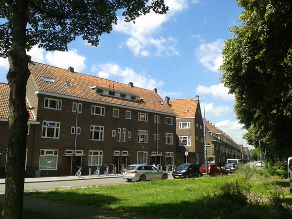 Image accompanying room listing