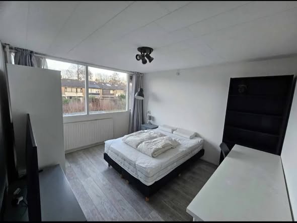 Image accompanying room listing