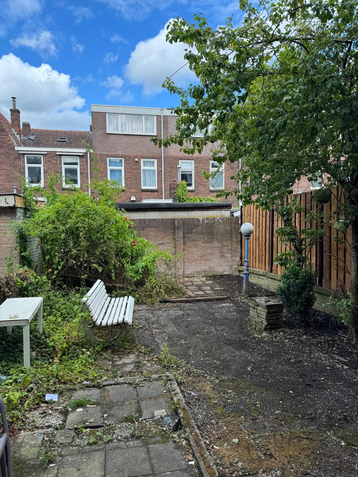 Image accompanying room listing