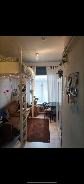 Image accompanying room listing