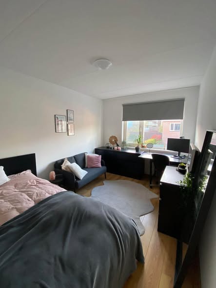 Image accompanying room listing