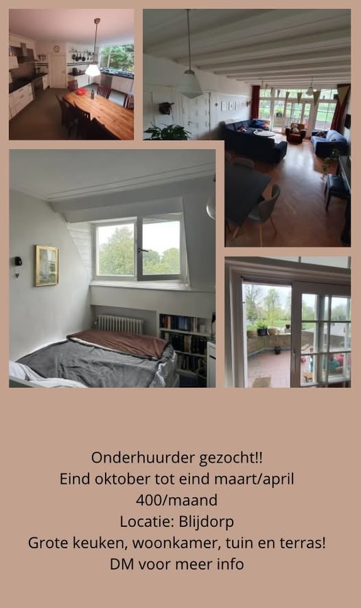 Image accompanying room listing