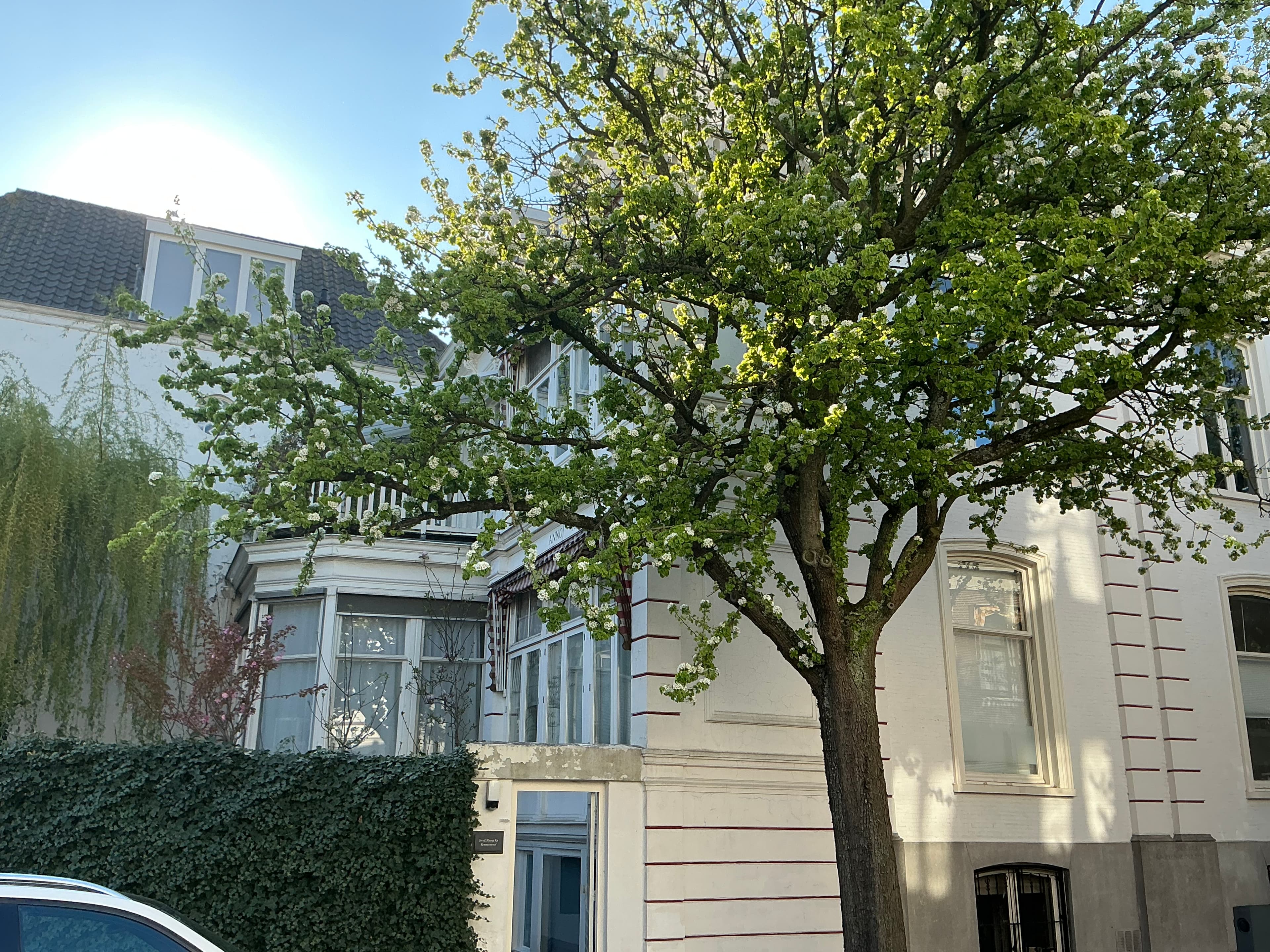 Image accompanying room listing