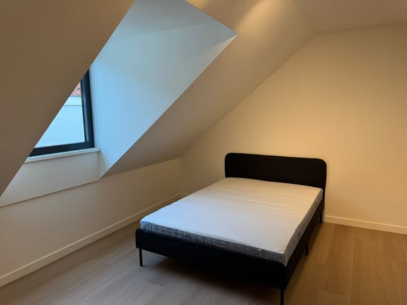 Image accompanying room listing