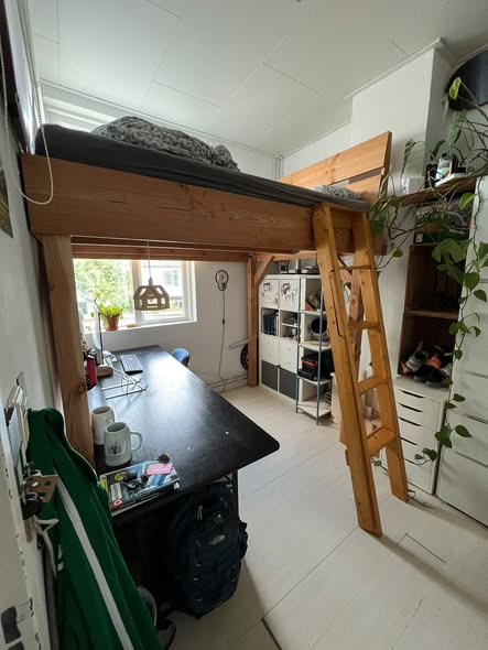 Image accompanying room listing