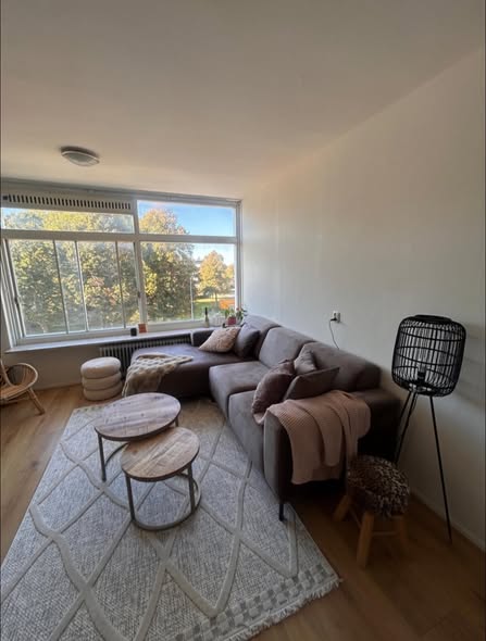 Image accompanying room listing