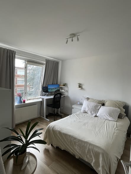 Image accompanying room listing
