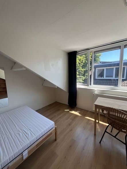 Image accompanying room listing