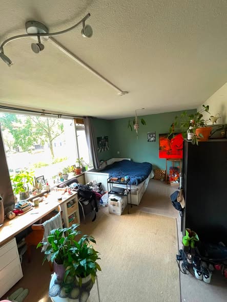 Image accompanying room listing