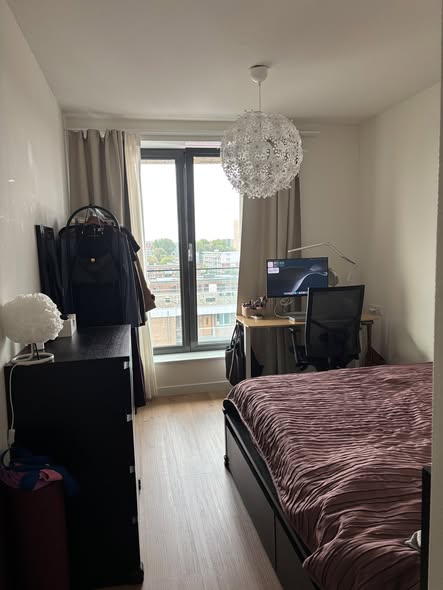 Image accompanying room listing