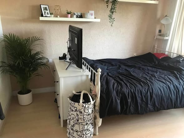 Image accompanying room listing