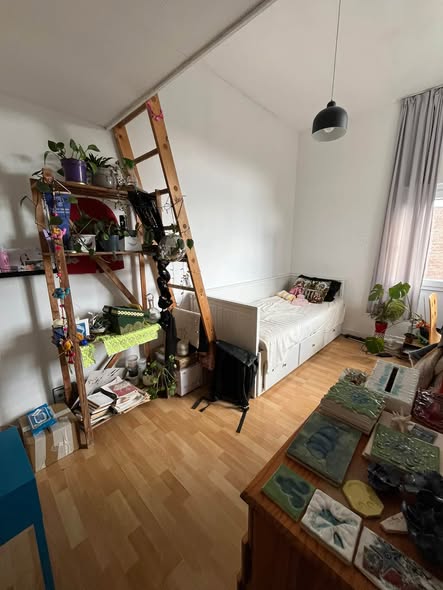 Image accompanying room listing