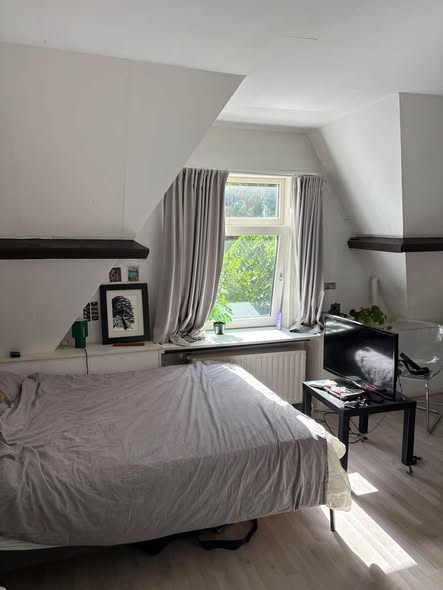 Image accompanying room listing