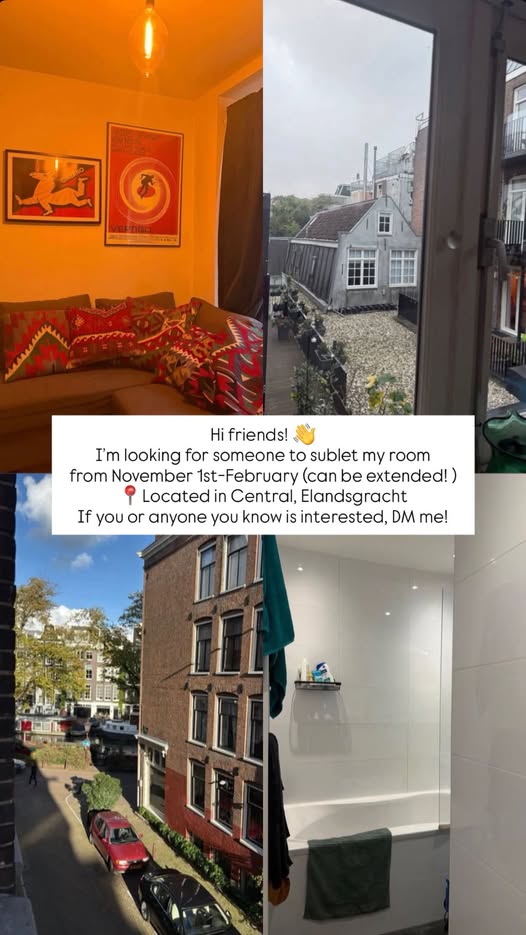 Image accompanying room listing