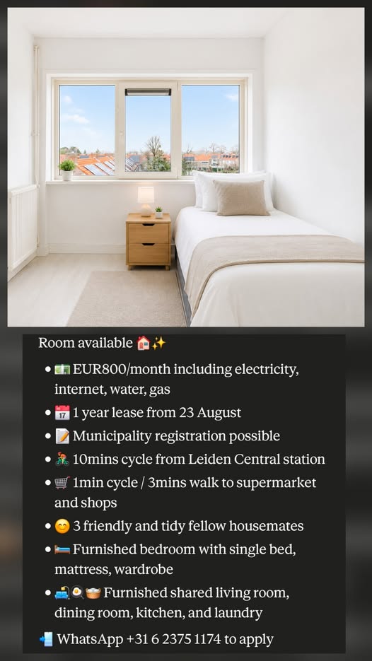 Image accompanying room listing