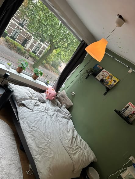 Image accompanying room listing