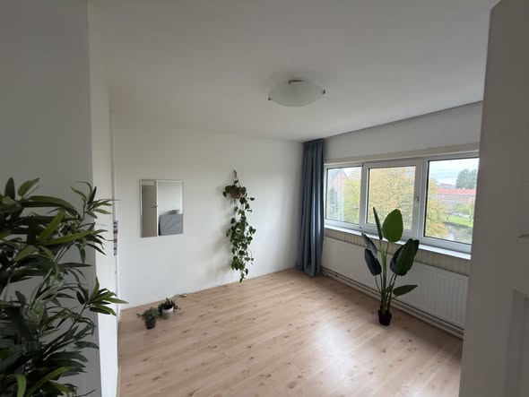 Image accompanying room listing