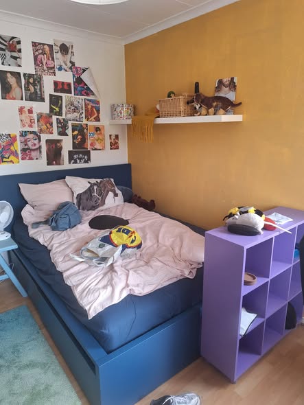 Image accompanying room listing
