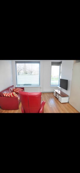 Image accompanying room listing