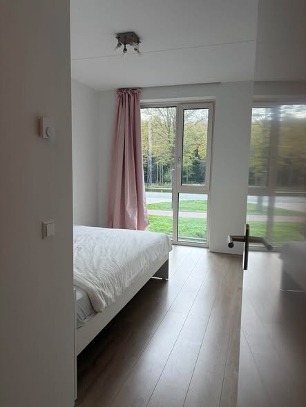 Image accompanying room listing