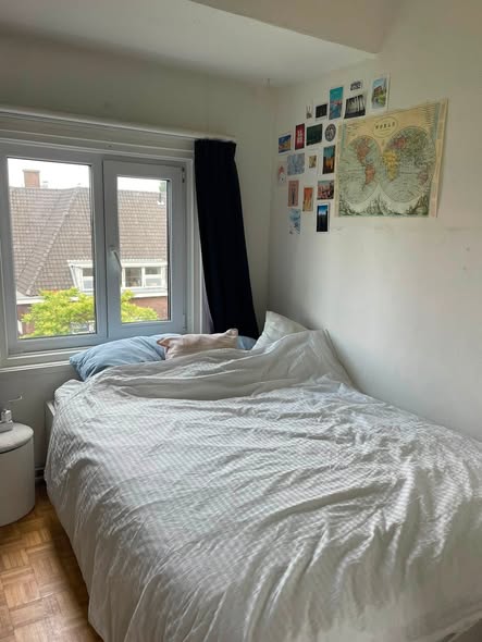 Image accompanying room listing