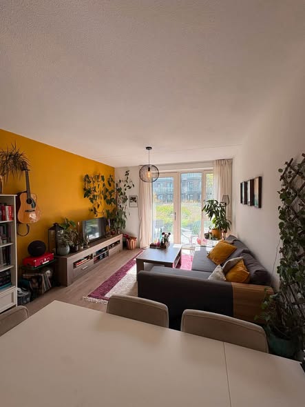Image accompanying room listing