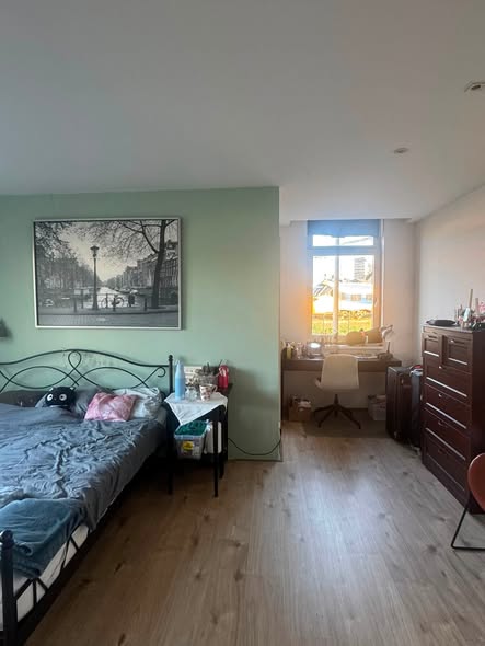 Image accompanying room listing