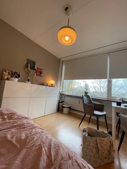 Image accompanying room listing