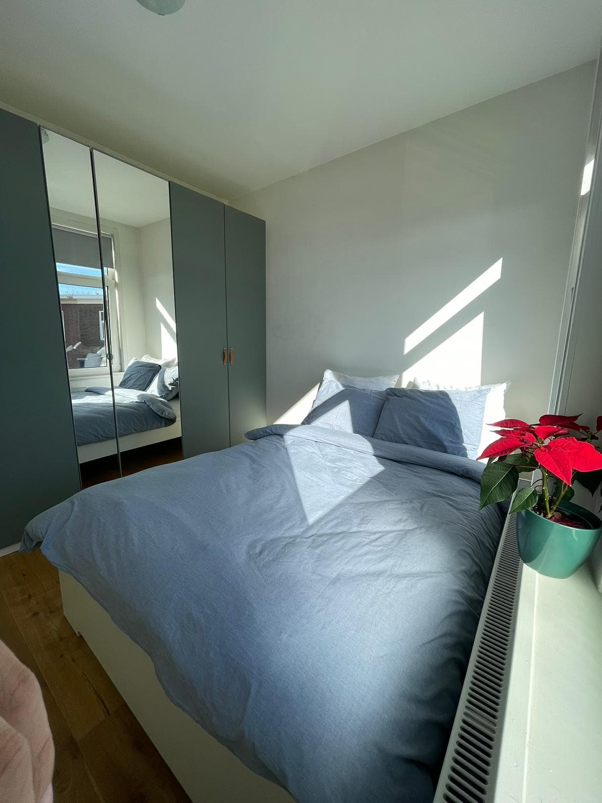 Image accompanying room listing