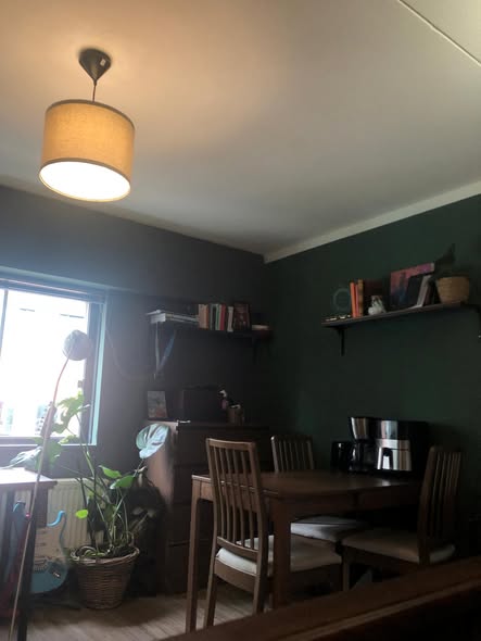 Image accompanying room listing