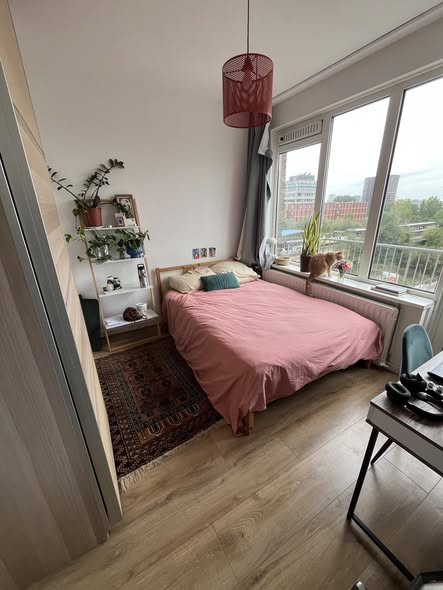 Image accompanying room listing