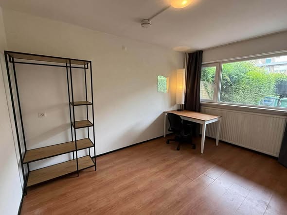 Image accompanying room listing
