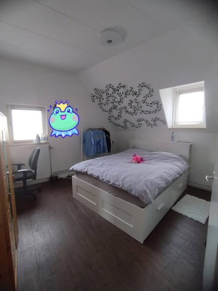 Image accompanying room listing
