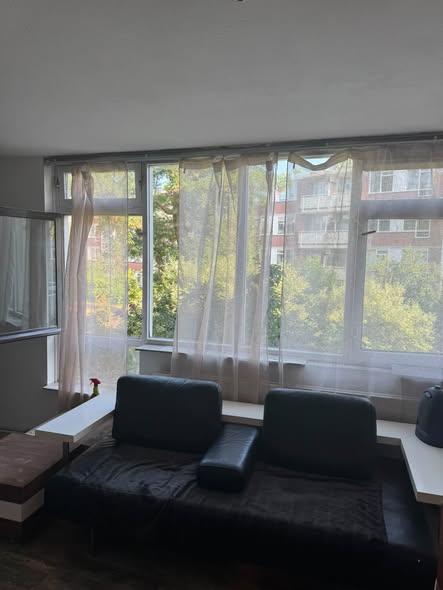 Image accompanying room listing