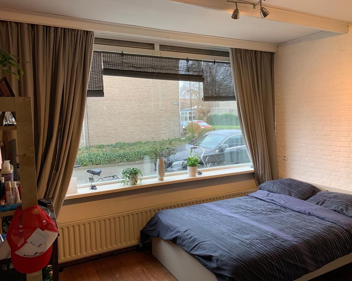 Image accompanying room listing