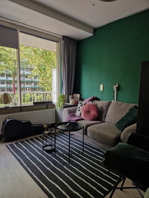 Image accompanying room listing