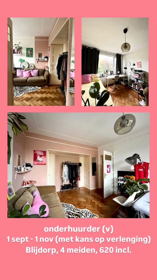 Image accompanying room listing