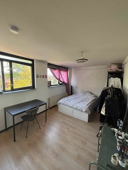 Image accompanying room listing