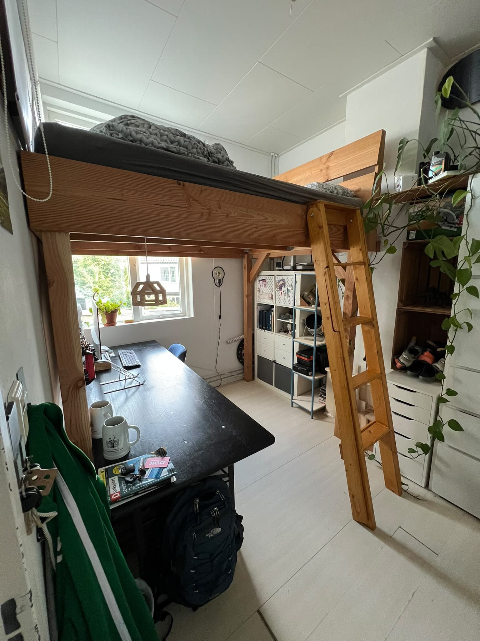 Image accompanying room listing