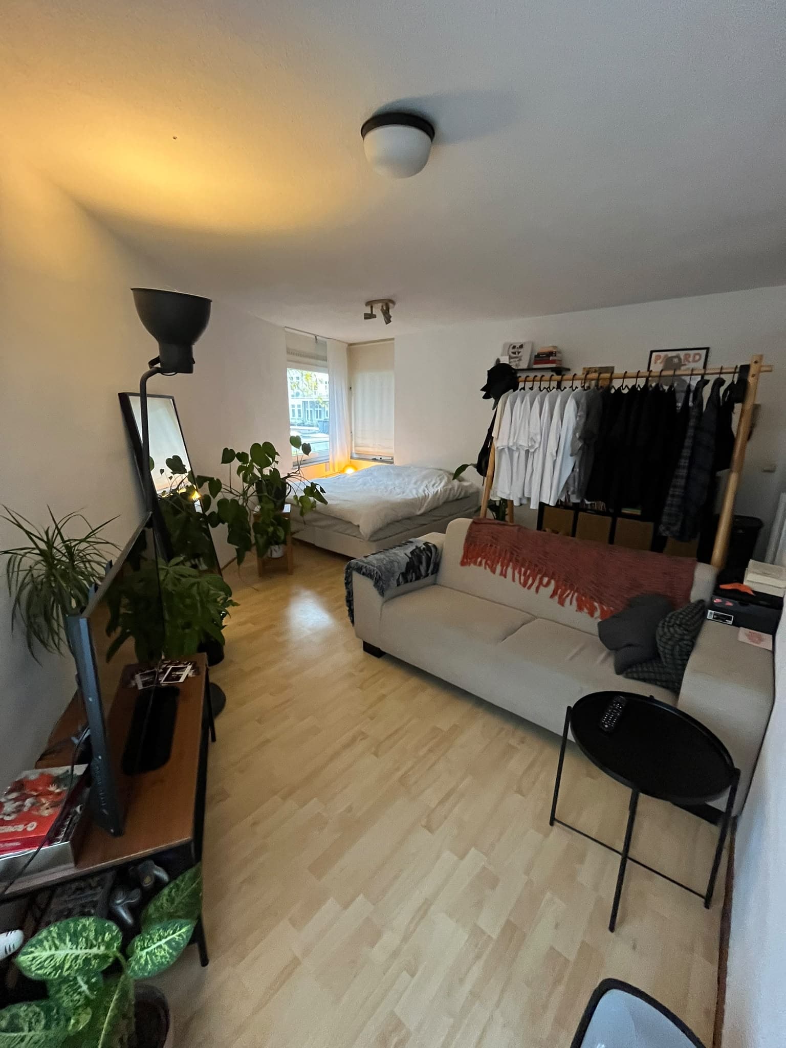 Image accompanying room listing