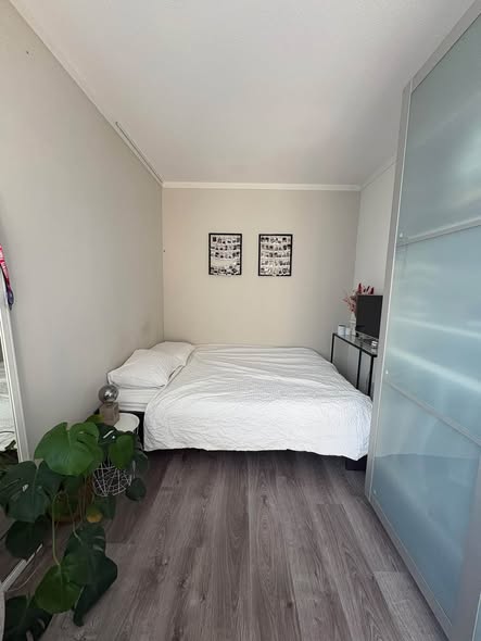 Image accompanying room listing