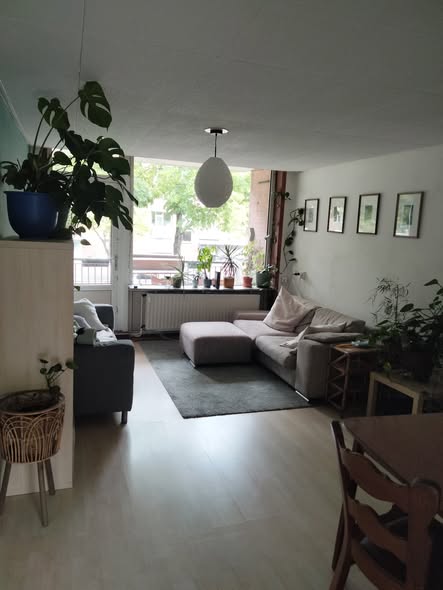 Image accompanying room listing
