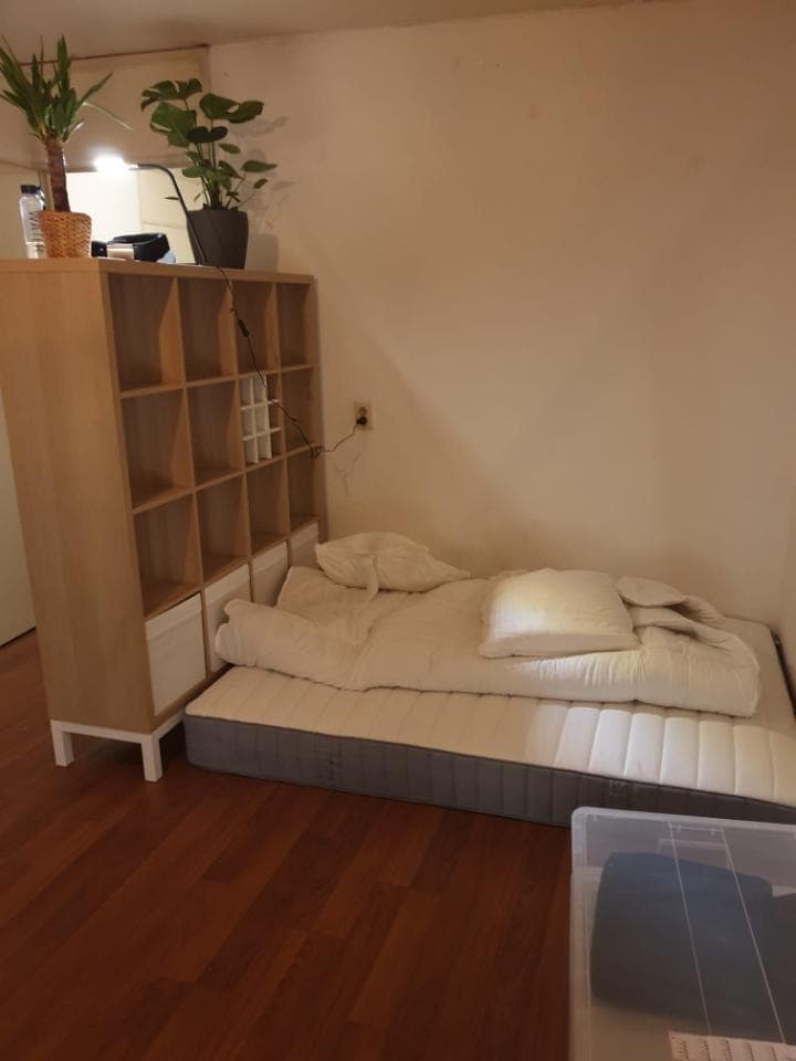 Image accompanying room listing