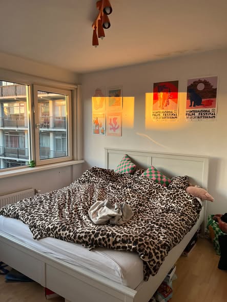 Image accompanying room listing